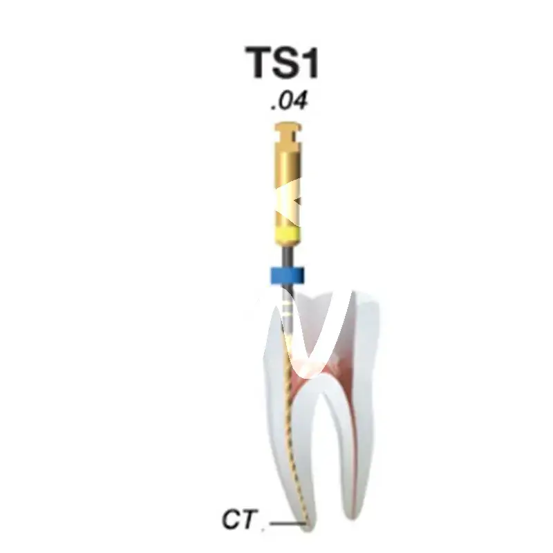 2shape b5 ts1 mini 25mm. 4% nr.25 x5st. endodontie micro-mega