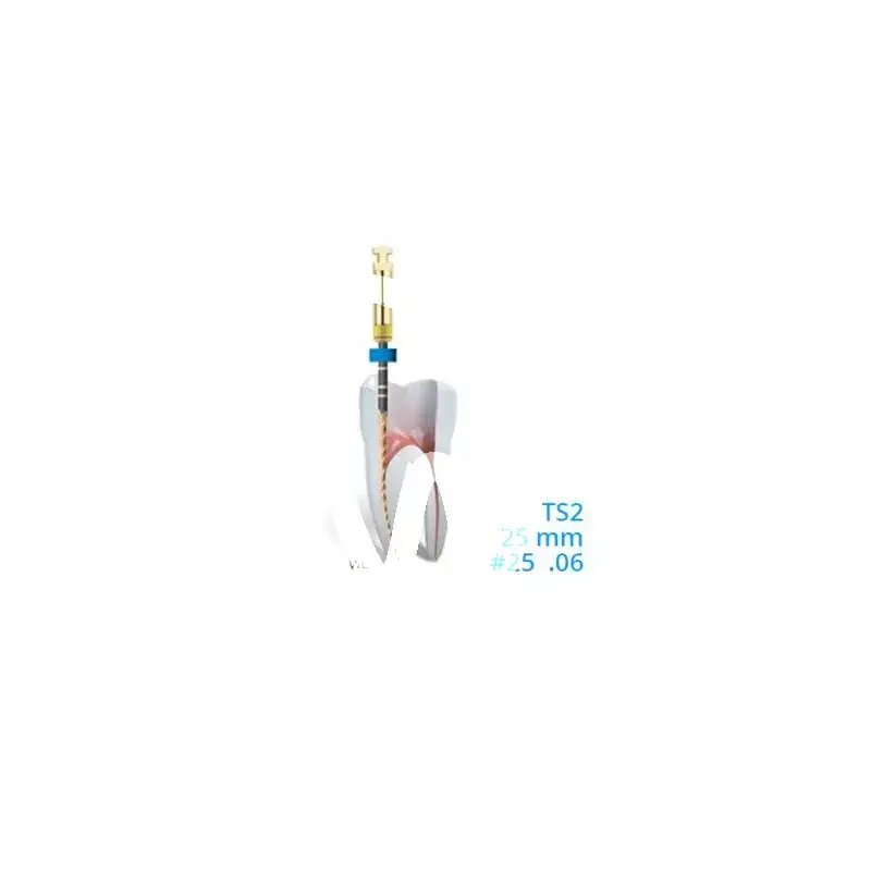 2shape b5 ts2 mini 25mm. 6% nr.25 x5st. endodontie micro-mega