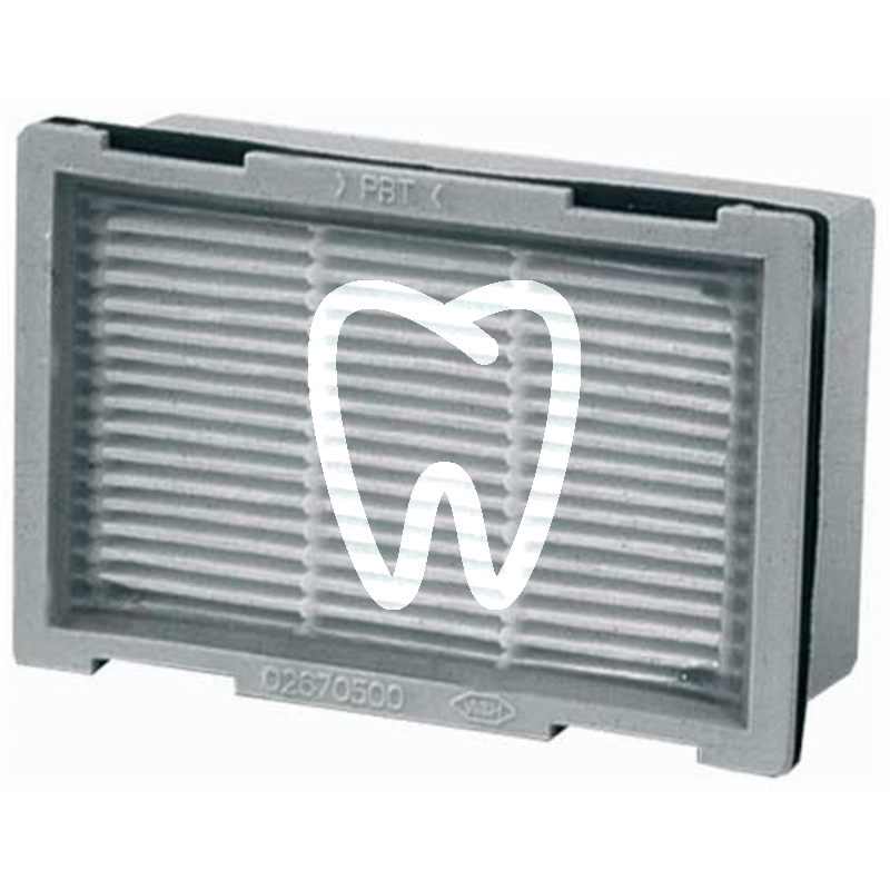 Assistina 301+ filtre à air 1pc cabinet w&h