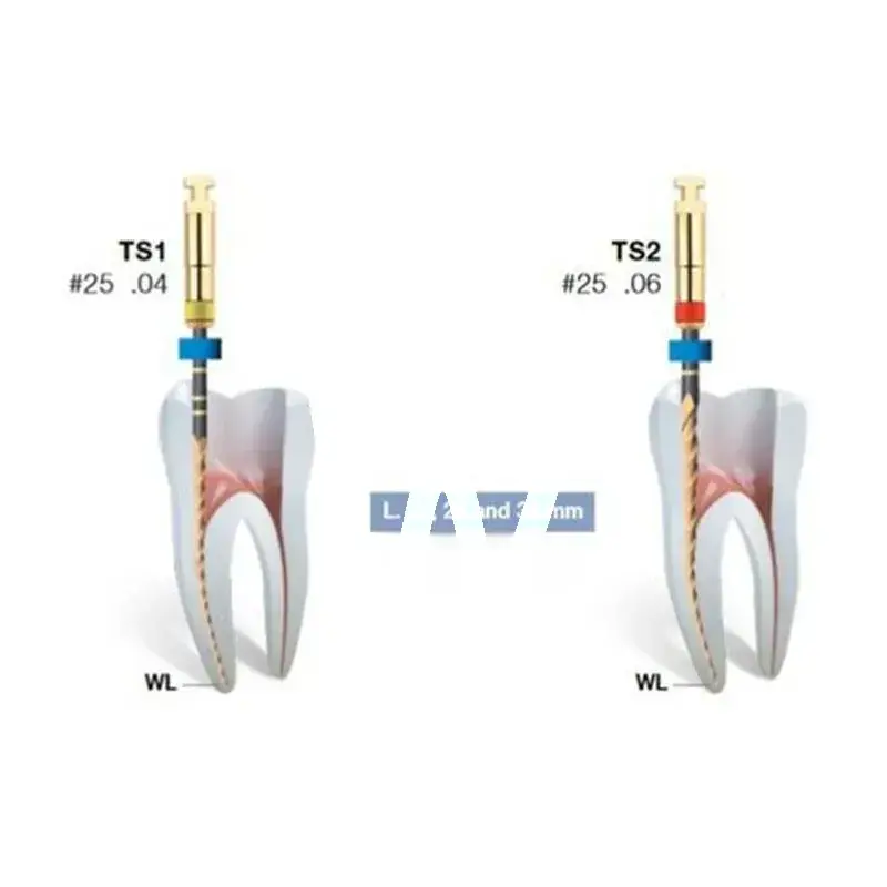 B5 2shape ts2 mini n25 6% l21 classics s endodontie micro-mega
