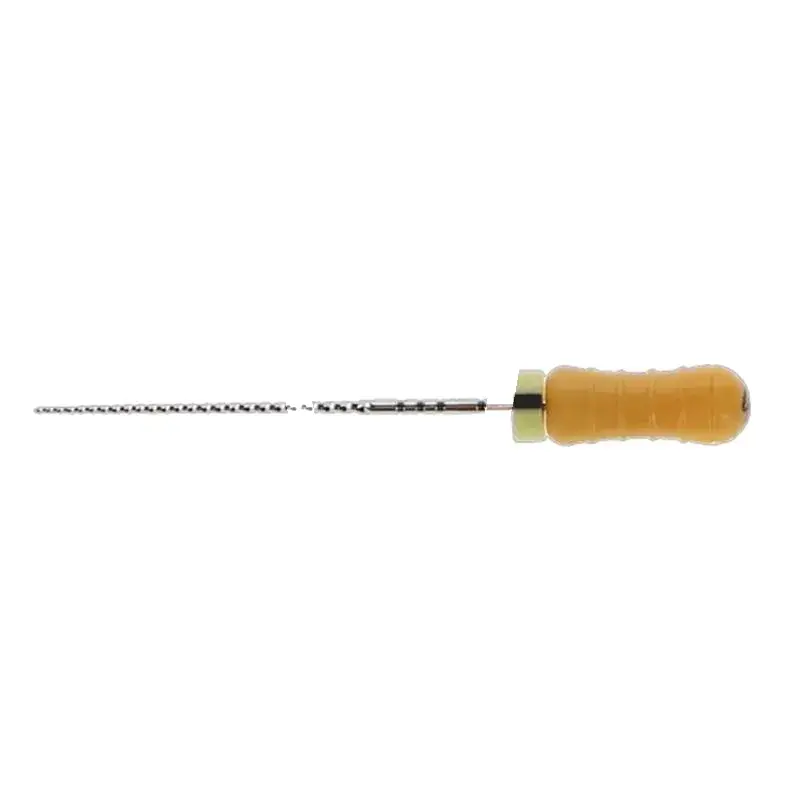 C+ readysteel file 25mm iso 020 6pcs endodontie dentsply sirona