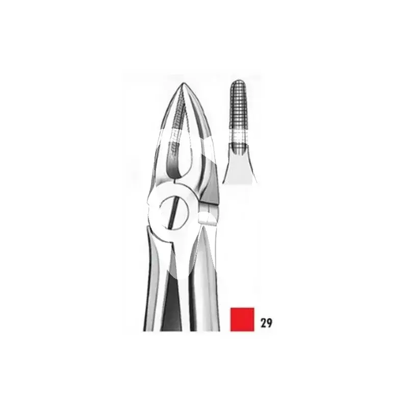 Davier 29k maxillaire incisives + racine enfant pcs instruments carl martin