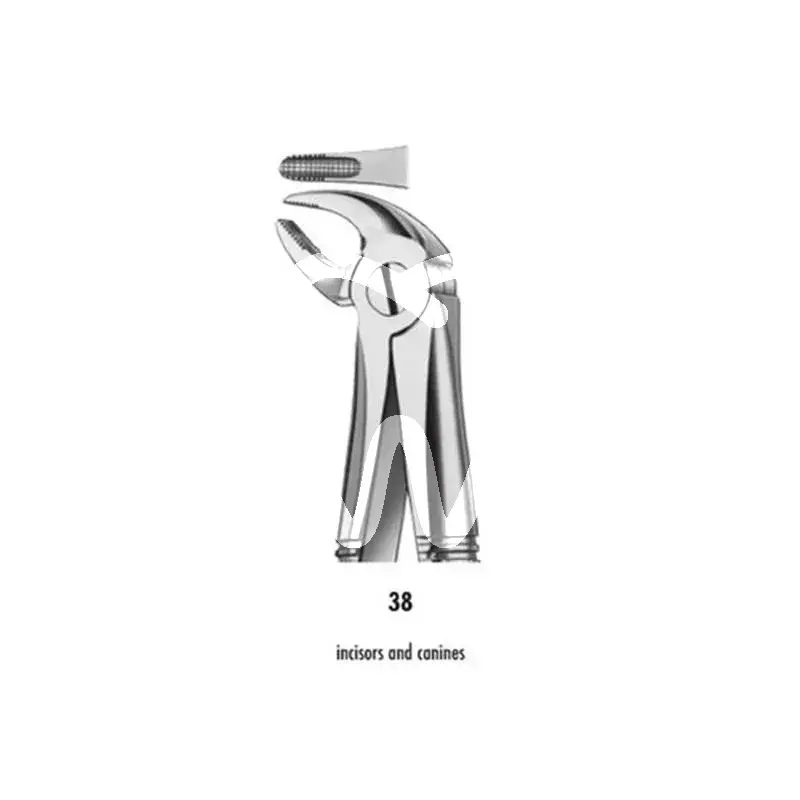 Davier 38 mandibule incisives + canines enfant pcs instruments carl martin