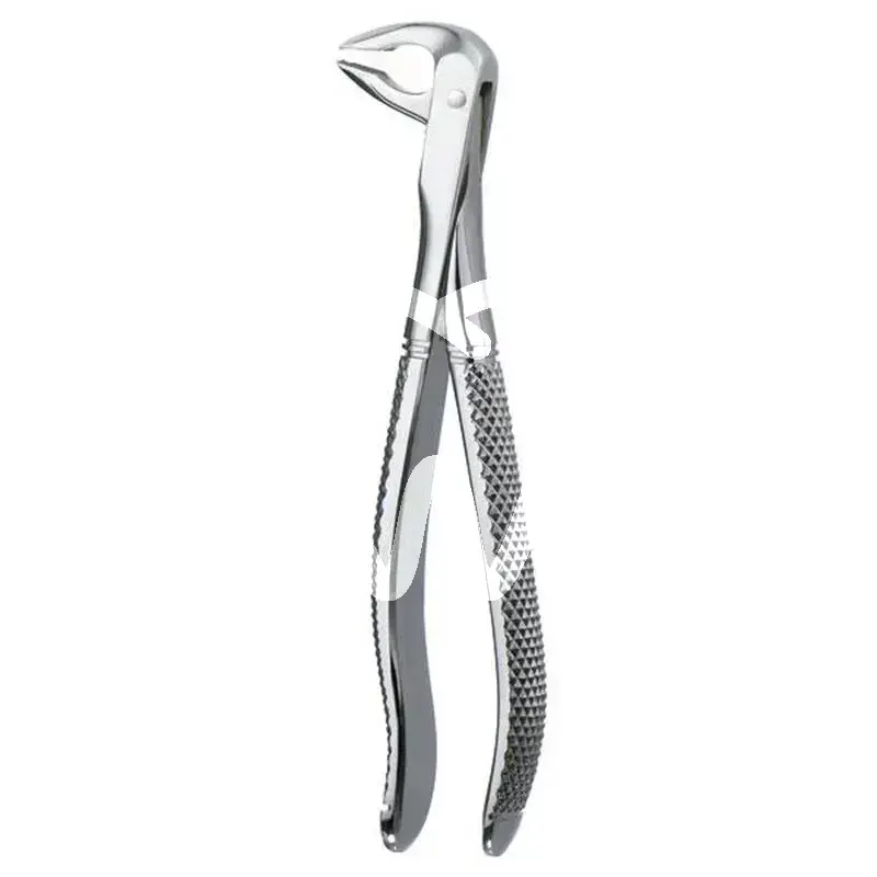Davier 77 mandibule incisive+racine+prémolaires 1 pcs instruments carl martin