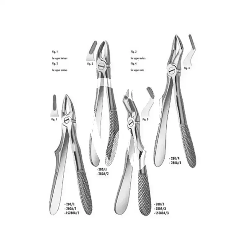 Davier klein enfant n.280/2 canines supérieures instruments carl martin