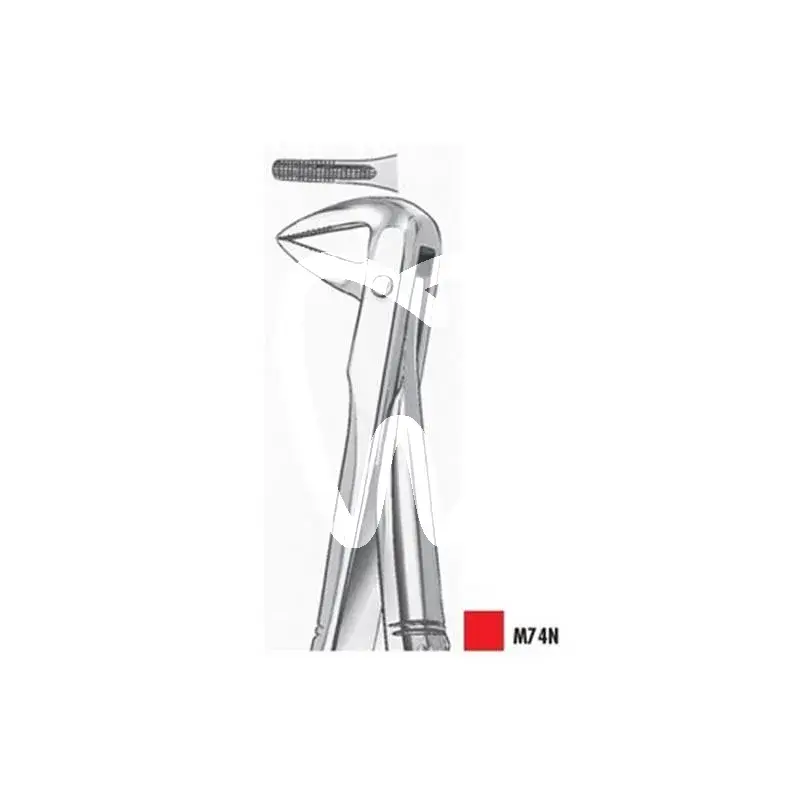 Davier m74n mandibule racines 1 pcs instruments carl martin