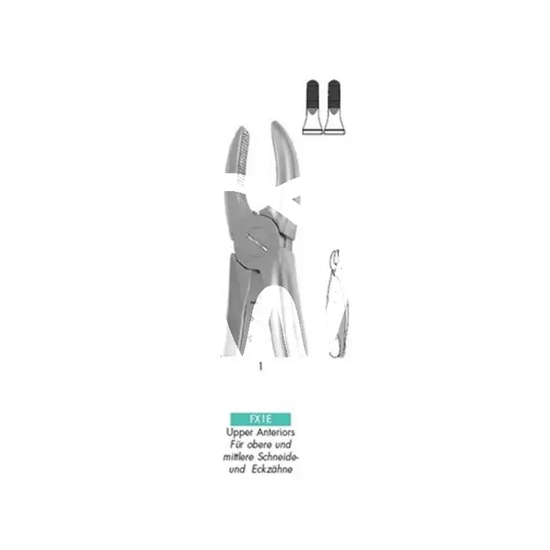 Davier nº1 anterieures superieures instruments hu friedy