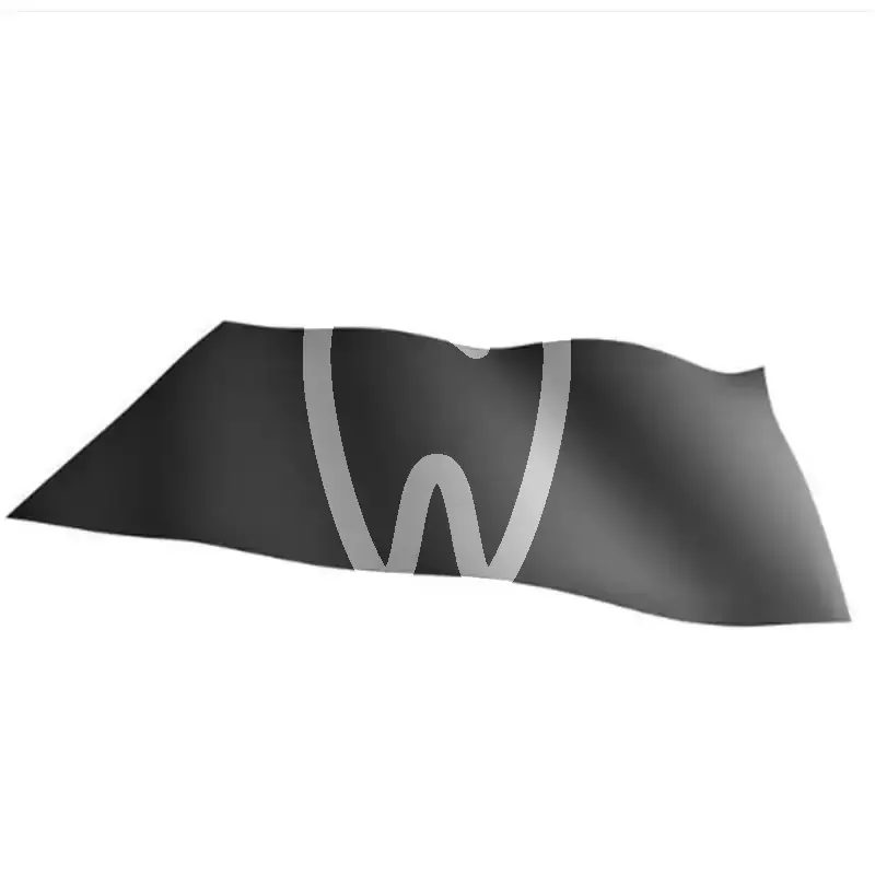 Digues vision noires digue asa dental