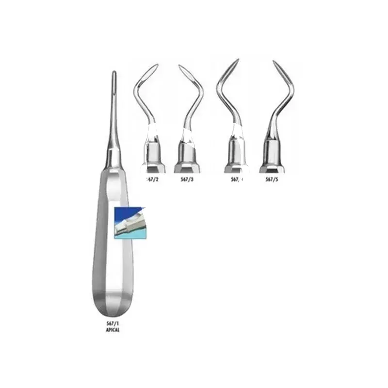 Élévateur radiculaire 567/ 4 pcs instruments carl martin