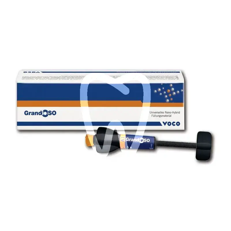 Grandioso bl seringue 4g composites et accessoires voco gmbh