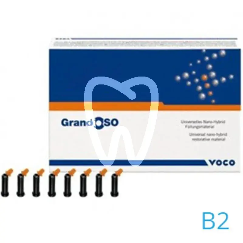 Grandioso caps b2 16x0,25g composites et accessoires voco gmbh