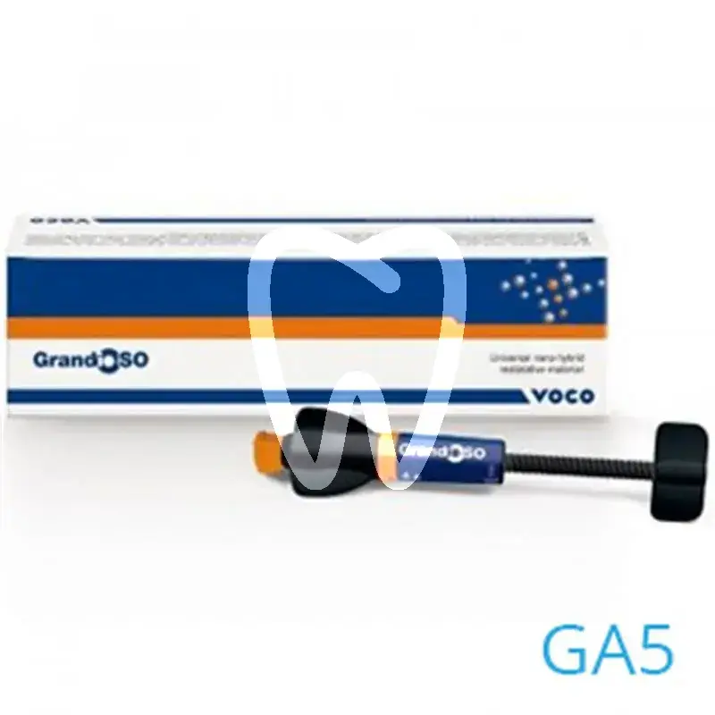 Grandioso ga5 seringue 4g composites et accessoires voco gmbh