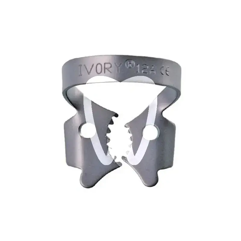 Ivory crampon avec ailette nº12a digue ivory
