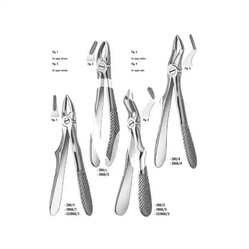 Pince à dents 280a/2 ms canines enfant pcs instruments carl martin