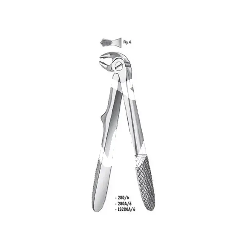 Pince à dents 280a/6 mi molaires enfant pcs instruments carl martin