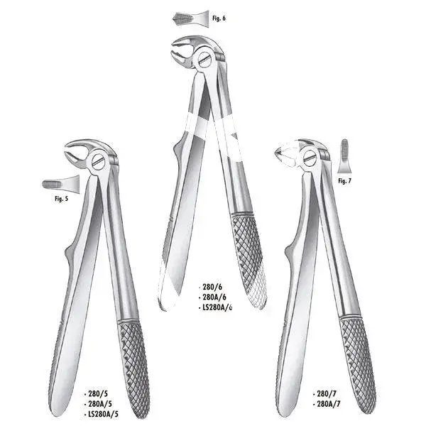 Pince à dents 280a/7 mi racines enfant pcs instruments carl martin