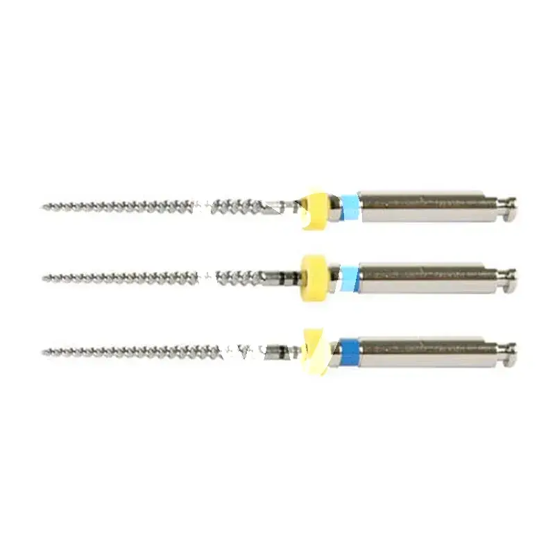 Profile .04 11n 060 21mm 6st endodontie dentsply sirona