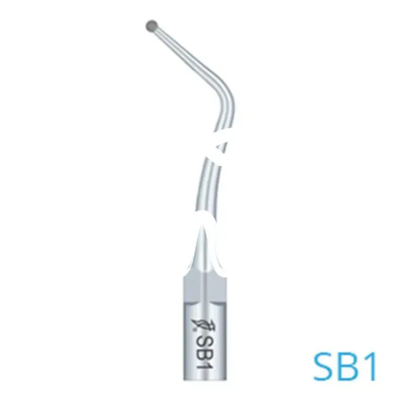Scaler b1 gr.24 ball st instruments woodpecker