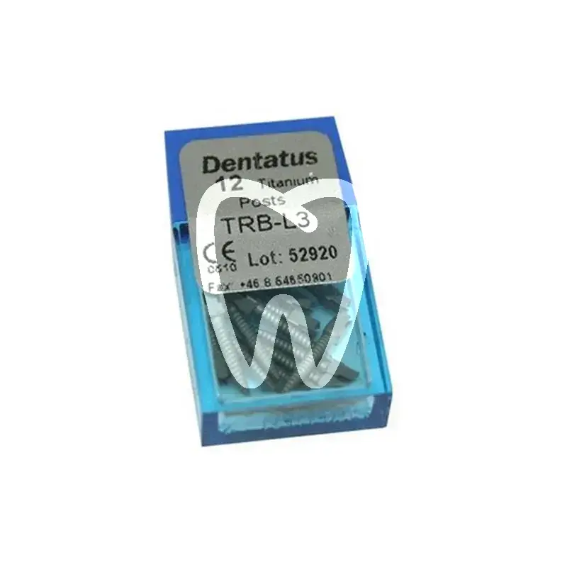Screw post titane grand nº3 tenons et pivots dentatus