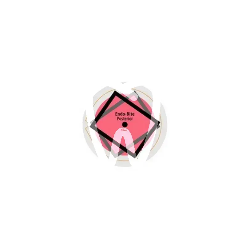 X-tra base universal caps 16x0,25g radiographie kerrhawe